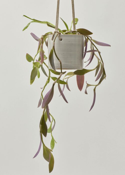 Product thumbnail image for »Balzar« White Ceramic Hanging Plant Pot Ø 13 cm | Genuine Stoneware