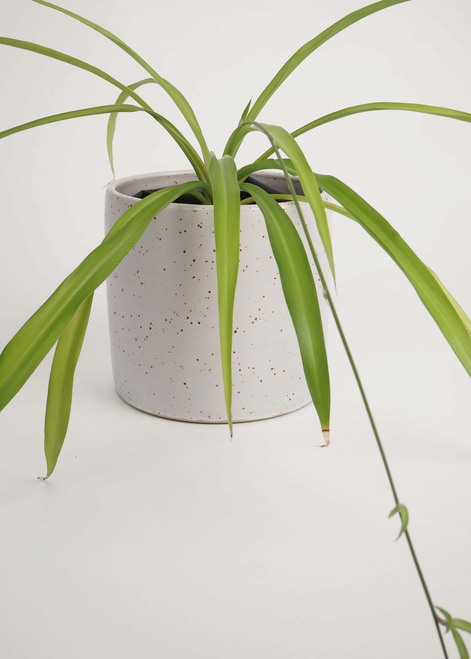 Product image for N° ICD5 Balzar Plant Pot L