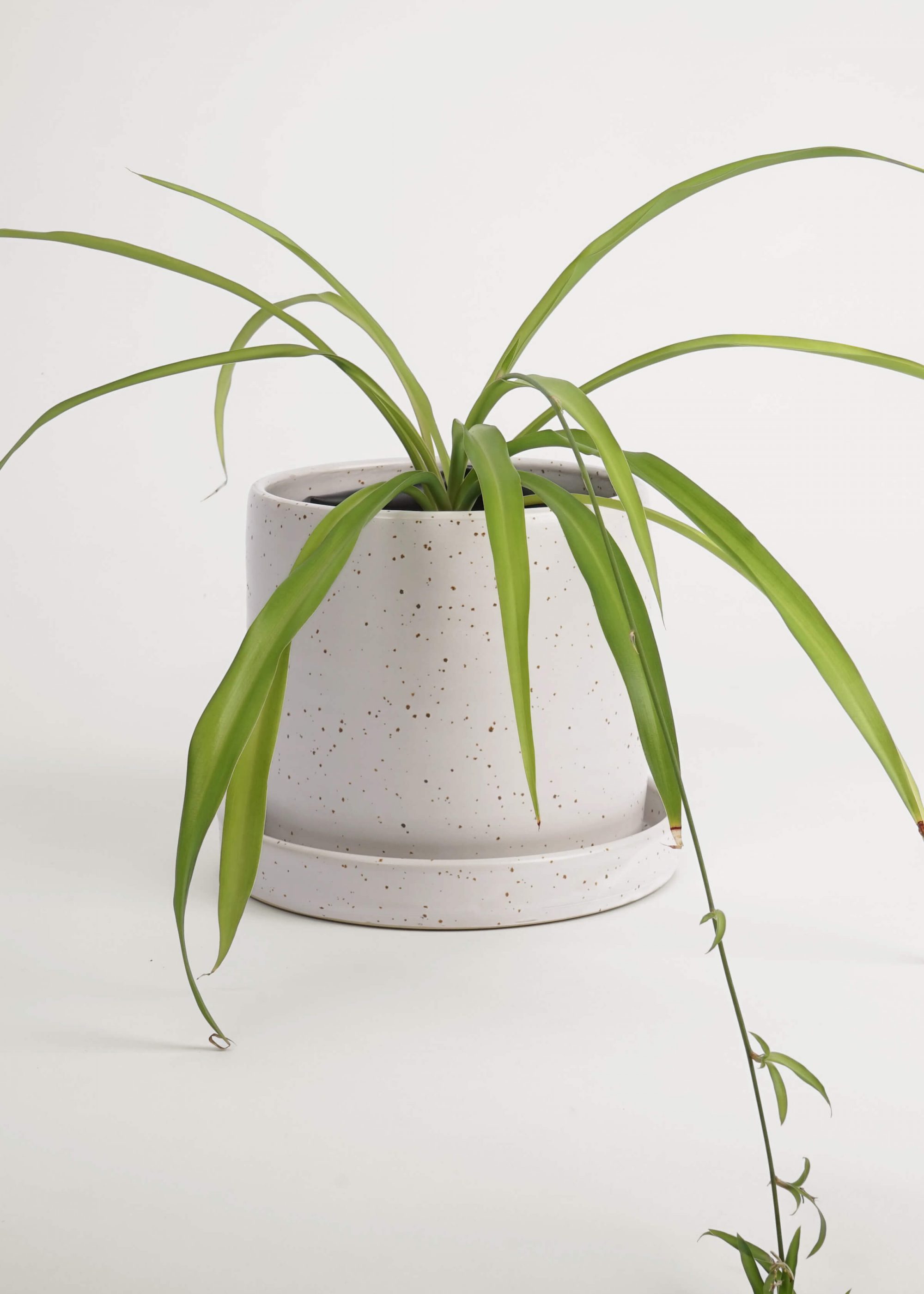 Product image for N° ICD9 Balzar Planter L
