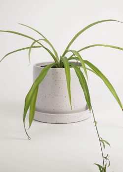 Product thumbnail image for N° ICD9 Balzar Planter L