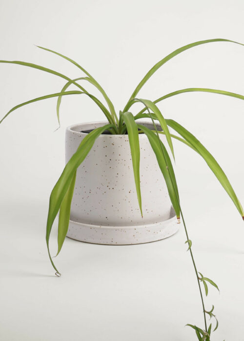 Product thumbnail image for »Balzar« White Plant Pot + Saucer Ø 18 cm | Genuine Stoneware