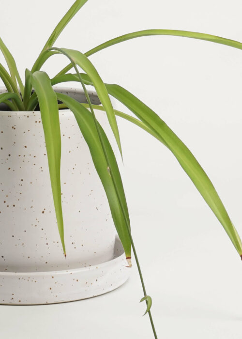 »Balzar« White Plant Pot + Saucer Ø 18 cm | Genuine Stoneware