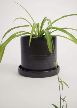 Product thumbnail image for N° ICD10 Burri Planter L