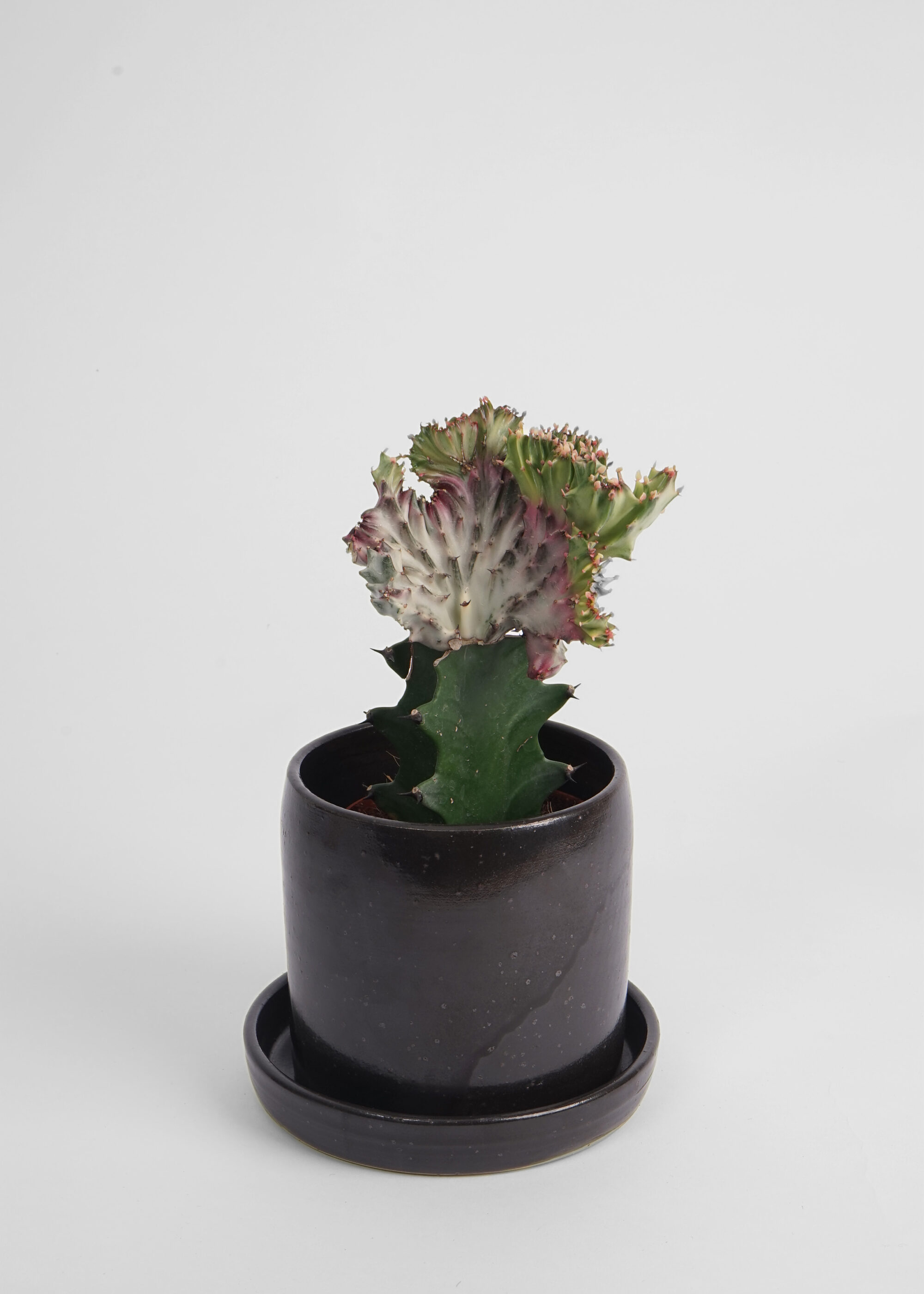 Product image for »Burri« Black Plant Pot + Saucer Ø 13 cm | Genuine Stoneware