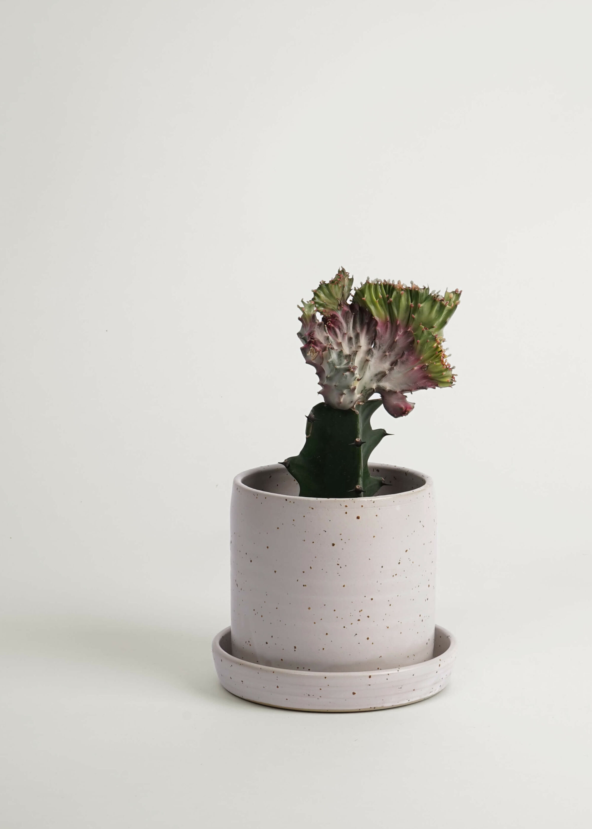 Product image for »Balzar« White Speckeld Plant Pot + Saucer Ø 13 cm | Genuine Stoneware