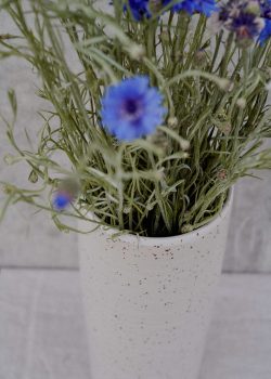 Product thumbnail image for N° ICG4 Syrinx II Vase S