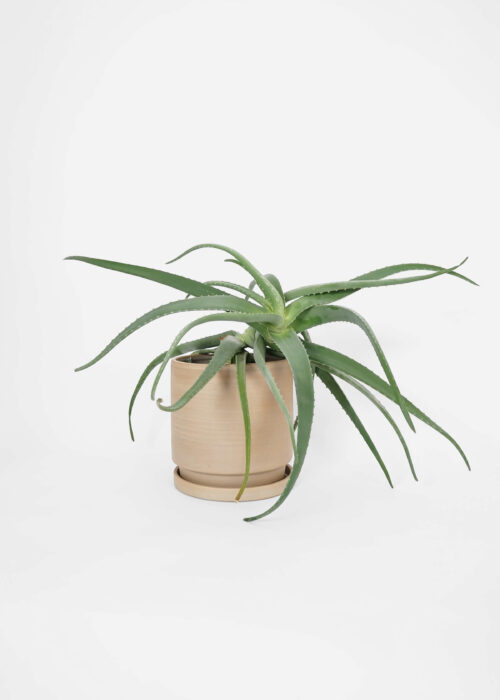 »Beuys« Unglazed Plant Pot + Saucer Ø 25 cm | Genuine Stoneware Ceramics