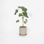 REH_Grey-Planter-Handthrown-18cm-Beuys-xx