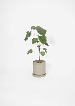 Product thumbnail image for N° ICSD4 BEUYS Planter Grey Medium