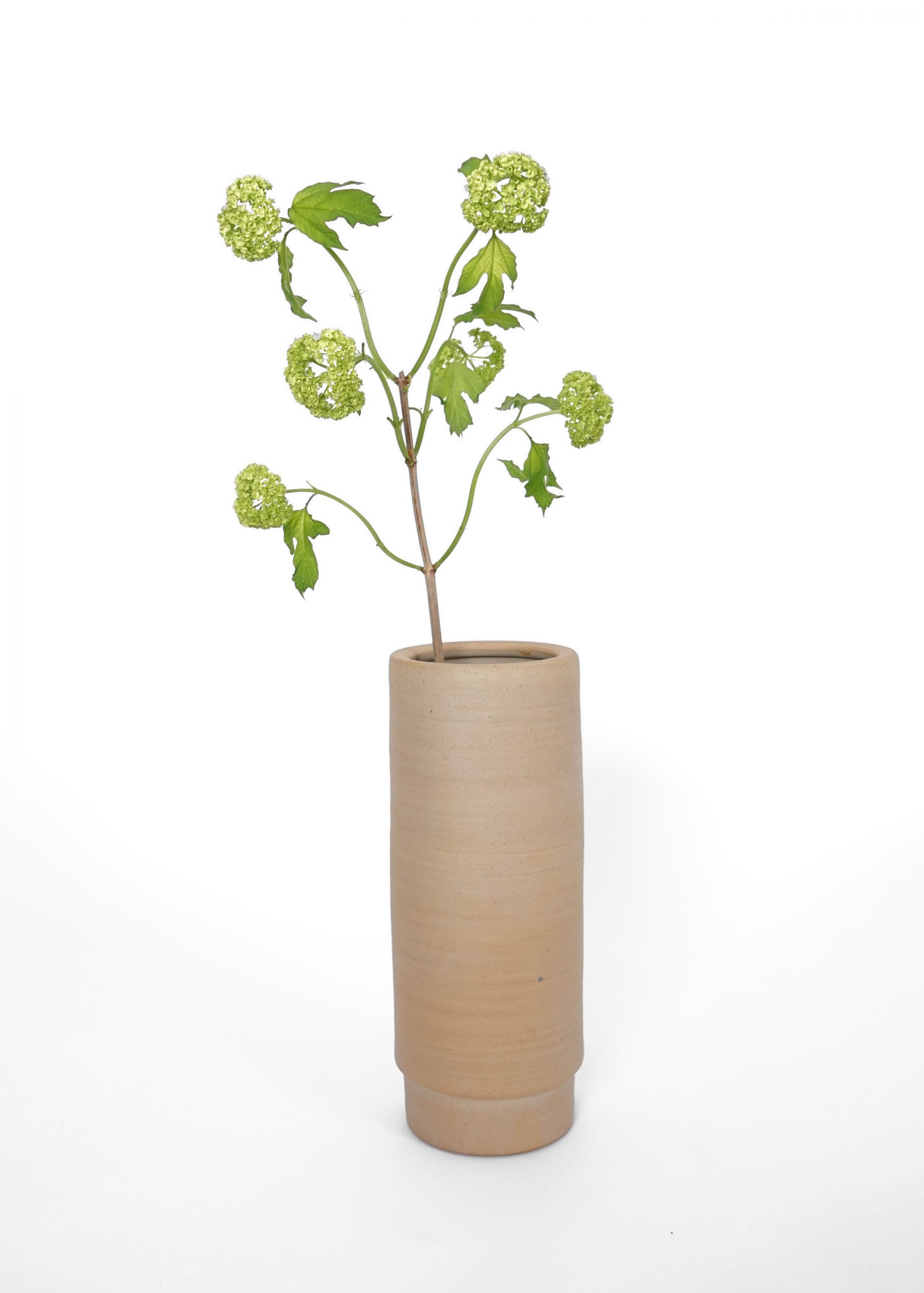 Product image for N° ICSD8 BEUYS Vase L